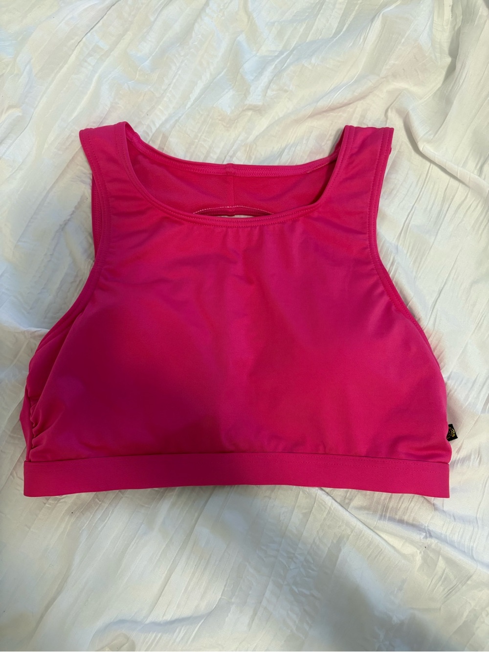 La Vie En Rose Hot Pink Bikini Top
